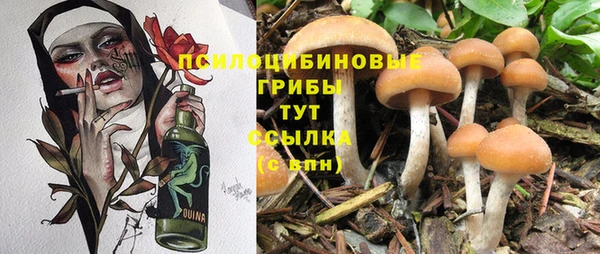 меф Дмитриев