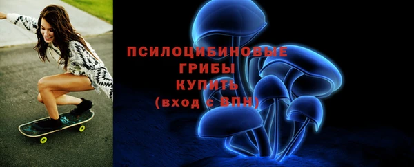меф Дмитриев