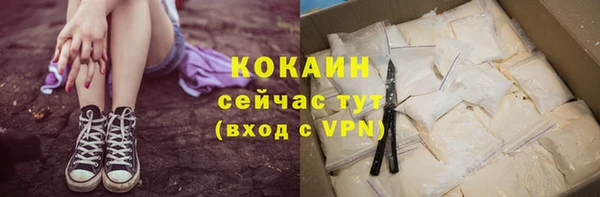 меф Дмитриев