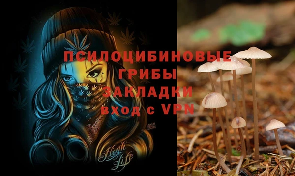 меф Дмитровск
